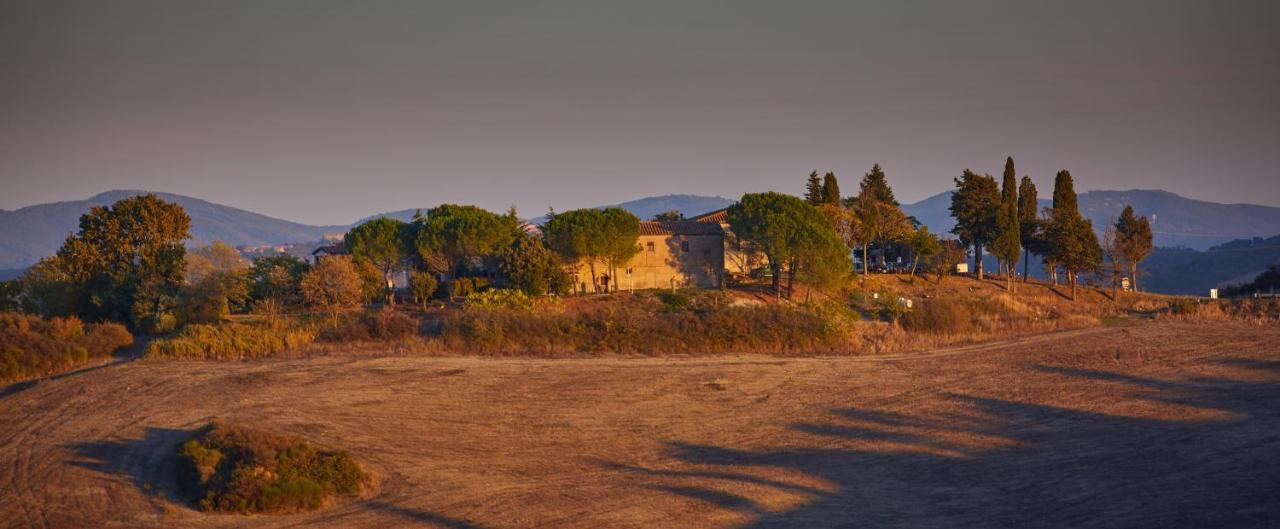 Podere San Francesco Bed & Breakfast Volterra Luaran gambar